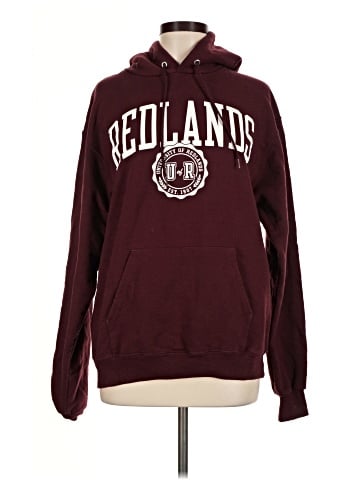 Champion Pullover Hoodie (view 1)