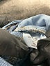 St. John's Bay Blue Jeans Size 20 - photo 5