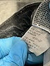 Levi's Black Jeans Size 24 waist - photo 10