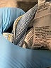 Levi's 100% Cotton Blue Jeans Size 23 waist - photo 8