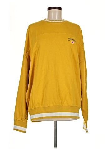 Champion Sweatshirt (view 1)