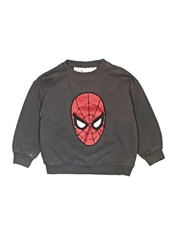 Zara Sweatshirt (view 1)