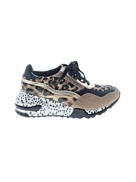 Steve Madden Sneakers