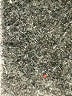 Enfold Gray Dress Pants Size EU 36 / US 6 - photo 8