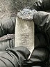White Birch Animal Print Black Pullover Sweater Size S - photo 8