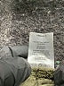 Ann Taylor LOFT Green Jeans Size 32 waist - photo 6