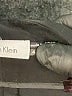Calvin Klein Solid Black Dress Pants Size 4 - photo 6