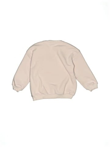 Zara Sweatshirt (view 2)