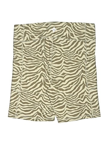 Tuckernuck Khaki Shorts (view 2)
