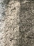 Gap 100% Polyester Animal Print Tan Casual Dress Size L - photo 7