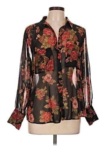 Zara Long Sleeve Blouse (view 1)