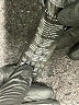 Liverpool Los Angeles Gray Blazer Size 2X - photo 7