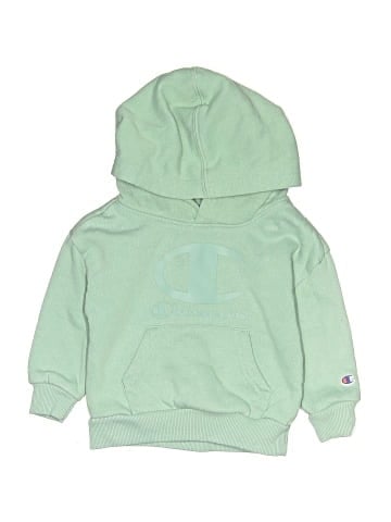 Champion Pullover Hoodie (view 1)