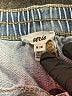 Aerie Blue Denim Shorts Size M - photo 3