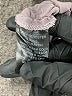 Reset Gray Casual Dress Size S - photo 8
