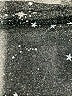 Unbranded Stars Silver 3/4 Sleeve Top Size L - photo 7