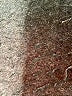 Assorted Brands Ivory Coat Size M - photo 7