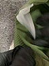 JoyLab Green Active Pants Size L - photo 8