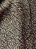 J.Crew Animal Print Brown Formal Skirt Size 6 - photo 5
