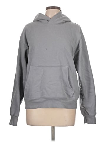 Aritzia Pullover Hoodie (view 1)