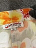 Kaktus Floral Orange Casual Pants Size 3X - photo 4