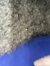 Everlane 100% Silk Blue Blouse Size 0 - photo 7