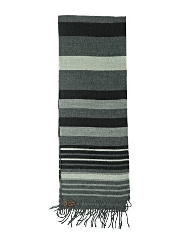 V.Fraas Scarf (view 2)