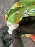 Assorted Brands Green 3/4 Sleeve Blouse Size 2 - photo 8