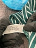 Dynamite 100% Viscose Stripes Green Long Sleeve Blouse Size S - photo 8