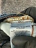 Eddie Bauer Blue Jeans Size 12 (petite) - photo 8