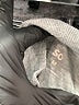 SO Gray Long Sleeve Turtleneck Size M - photo 7