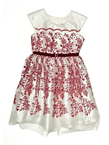 Jona Michelle Dress (view 1)