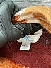 Time and Tru Brown Ivory Cardigan Size L - photo 4