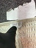Sienna Sky Silver Ivory Tank Top Size S - photo 7