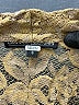 Donna Degnan Gold Long Sleeve Blouse Size S - photo 7