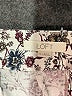 Ann Taylor LOFT Floral Ivory Shorts Size 12 - photo 3