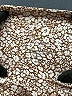 Varley Animal Print Brown Leggings Size XS - photo 7