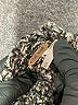 Free People Gray Jacket Size S - photo 6