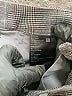 Uniqlo Plaid Gray Dress Pants Size XS - photo 7