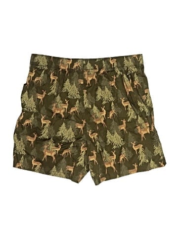 American Eagle Outfitters Shorts (view 2)