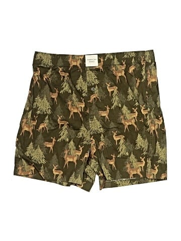 American Eagle Outfitters Shorts (view 1)
