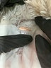 Free People 100% Cotton Tan Coat Size XS - photo 6