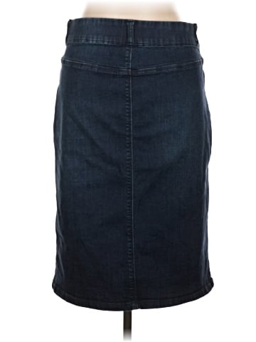 Esteez Denim Skirt (view 2)