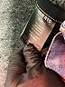 Torrid Hearts Blue Jeans Size 16 - photo 5