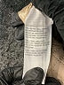 Dennis by Dennis Basso 100% Polyester Ivory Trenchcoat Size XS - photo 7