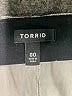 Torrid Metallic Silver Casual Skirt Size Med Plus (00) - photo 4