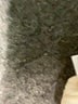 Universal Thread Ivory Casual Skirt Size XS - photo 7