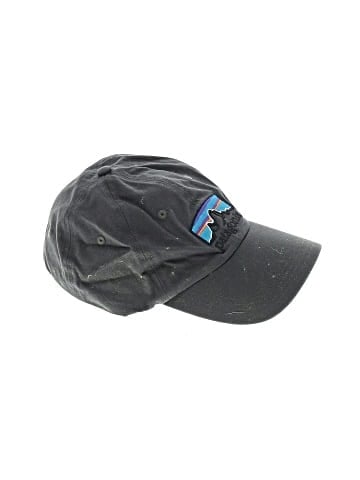 Patagonia Baseball Cap (view 1)