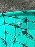 TAVI Print Teal Leggings Size S - photo 7
