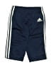 Adidas Blue Track Pants 3-6 MO / 6 MO - photo 1